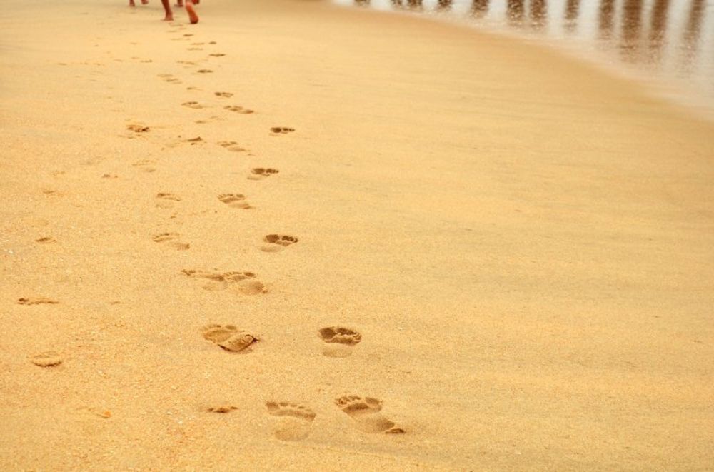 footprints_hires.jpg